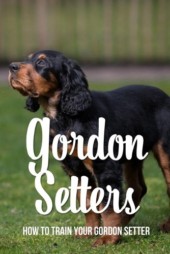 Gordon Setters