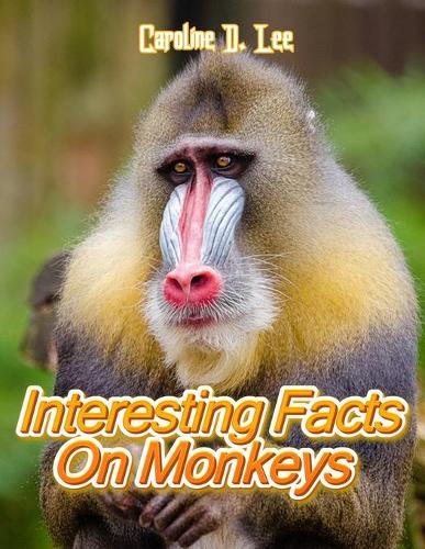 Interesting Facts On Monkeys: Animal fact for girl age 1-10 Animal fact for boy age 1-10 facts about monkeys for kids monkey information for kids