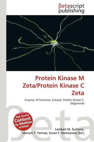 Protein Kinase M Zeta/Protein Kinase C Zeta