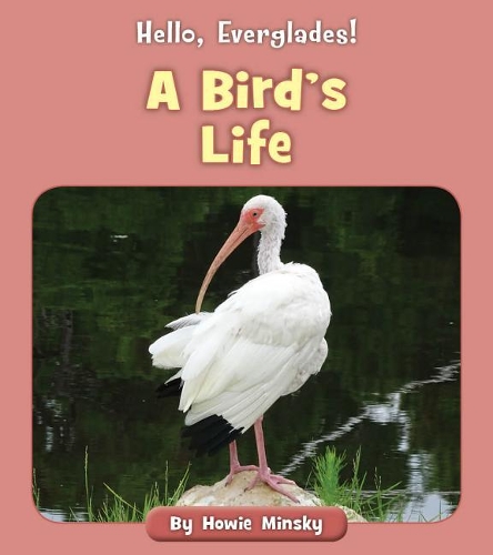 A Bird's Life: (Hello, Everglades!)