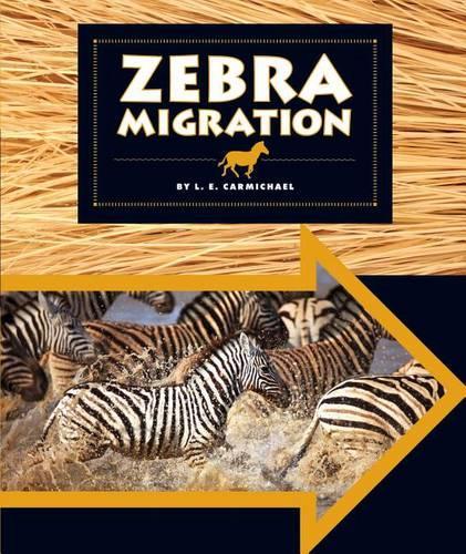 Zebra Migration: (Animal Migrations)