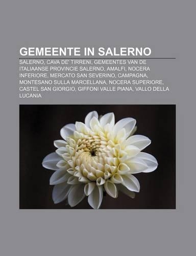 Gemeente in Salerno: Salerno, Cava de' Tirreni, Gemeentes Van de Italiaanse Provincie Salerno, Amalfi, Nocera Inferiore, Mercato San Severino(Dutch)