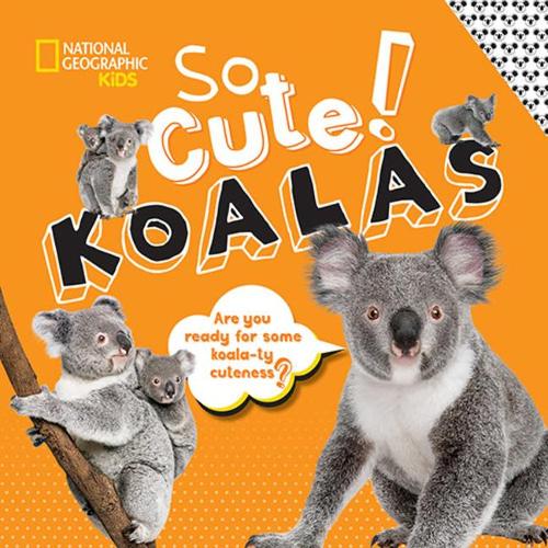 So Cute!: Koalas(So Cool/So Cute)