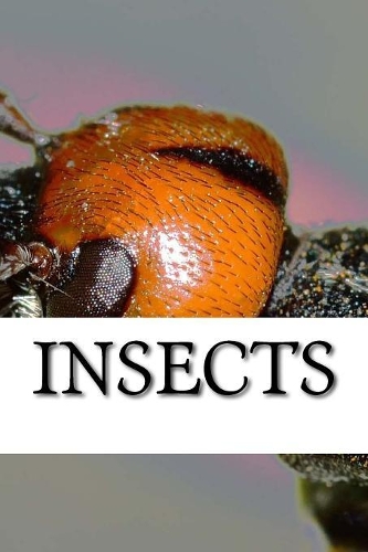 Insects