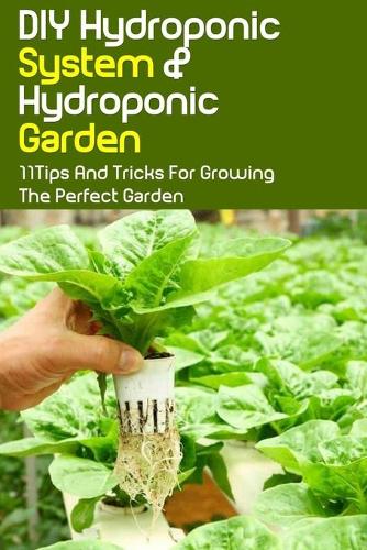 DIY Hydroponic System & Hydroponic Garden