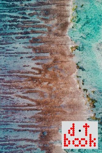 The Dot Book - A Dot Grid Notebook for Graphic Designers - Pattern Series - 004: (4 The Dot Book Pattern)