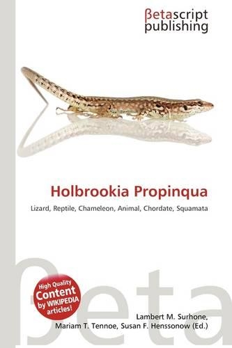 Holbrookia Propinqua