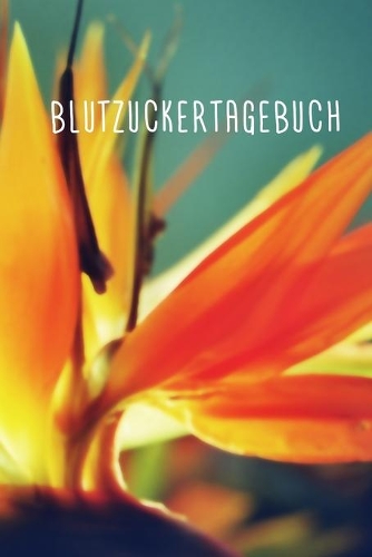 Blutzuckertagebuch