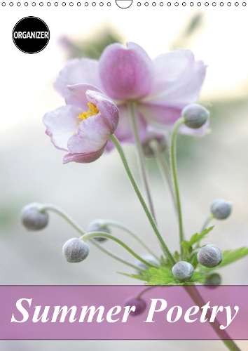 Summer Poetry 2019: Beautiful portraits of flowers(Calvendo Nature)