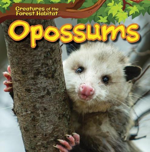 Opossums