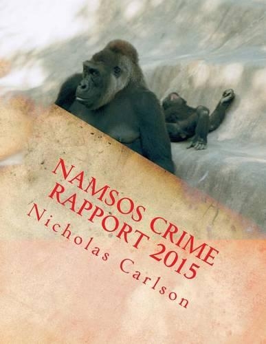 Namsos Crime Rapport 2015