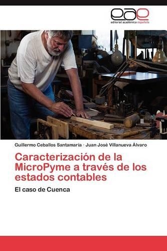 Caracterizacion de La Micropyme a Traves de Los Estados Contables: (Spanish)