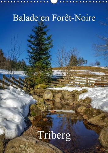 Balade en Forêt-Noire Triberg 2019: Découverte de la Forêt-Noire et de ses coucous(Calvendo Places)