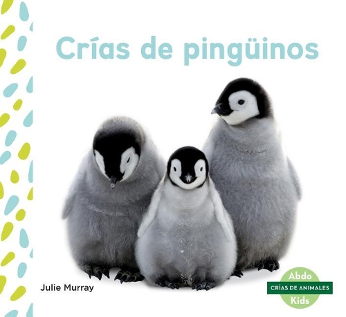 Crias de Pinguinos (Penguin Chicks)