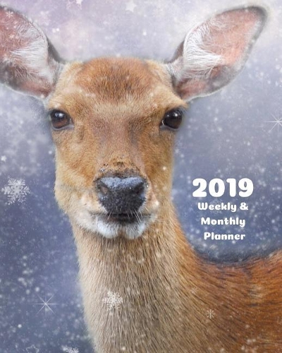 2019 Weekly and Monthly Planner