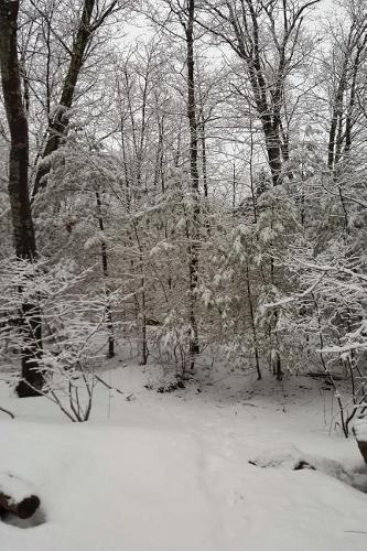 Journal Scenic Winter Weather Photography