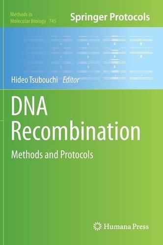 DNA Recombination