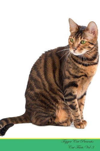 Toyger Cat Presents