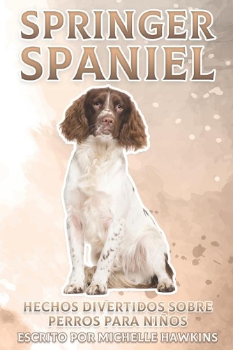 Springer Spaniel