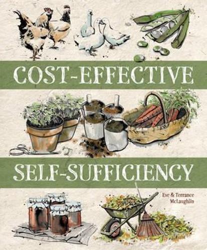 Cost-Effective Self-Sufficiency