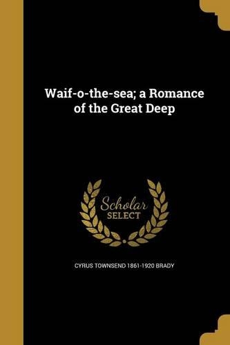 Waif-o-the-sea; a Romance of the Great Deep