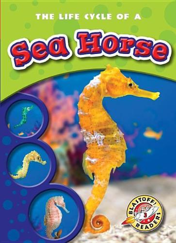 Life Cycle of a Sea Horse