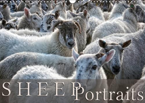 Sheep Portraits 2017: Discover 12 Beautiful Portraits of Sheep in the Countryside(Calvendo Animals)