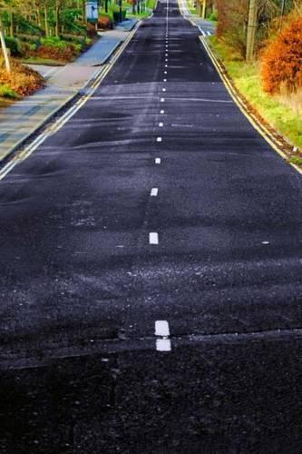 Mind Blowing Road In Autumn Journal