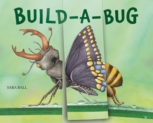 Build-a-Bug: Make Your Own Wacky Insect!(Mix-and-Match Board Books)