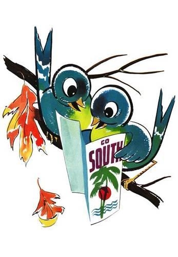 Birds Bon Voyage Greeting Card