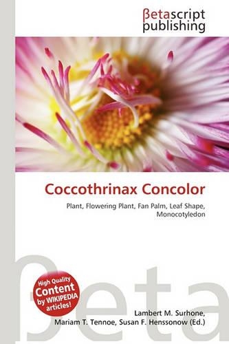 Coccothrinax Concolor