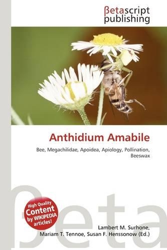Anthidium Amabile