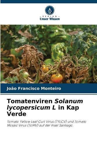 Tomatenviren Solanum lycopersicum L in Kap Verde