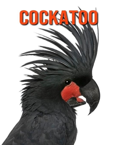 Cockatoo