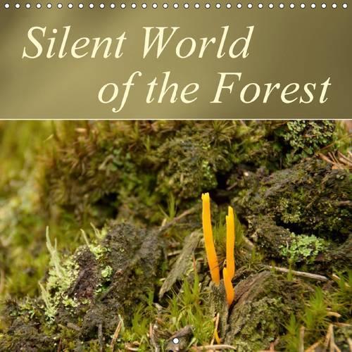 Silent World of the Forest 2017: Small Plants of the Forest's Ground, Photographed in Very Low Perspective(Calvendo Nature)
