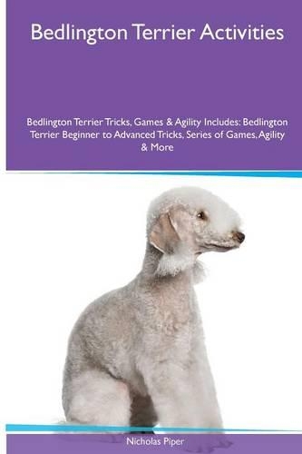 Bedlington Terrier Activities Bedlington Terrier Tricks, Games & Agility. Includes