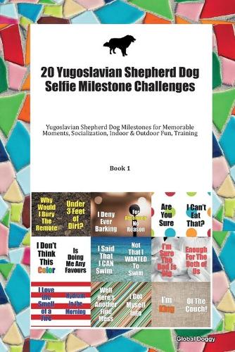 20 Yugoslavian Shepherd Dog Selfie Milestone Challenges