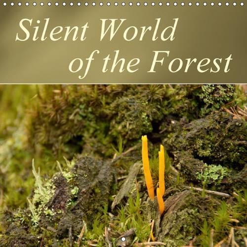Silent World of the Forest 2016: Small plants of the forest's ground, photographed in very low perspective(Calvendo Nature)