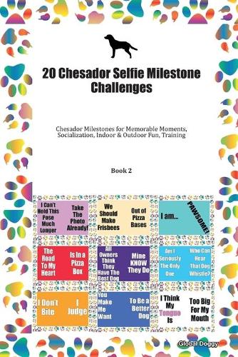 20 Chesador Selfie Milestone Challenges