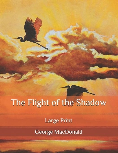 The Flight of the Shadow: Large Print