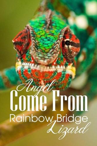 Angel Come From Rainbow Bridge Lizard
