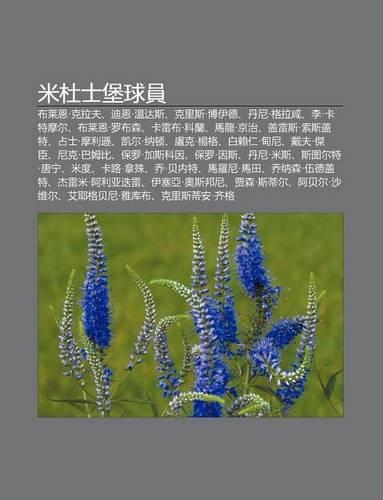 M Du Shi B O Qiu Yuan