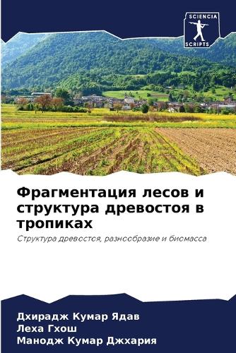 Фрагментация лесов и структура древостоя