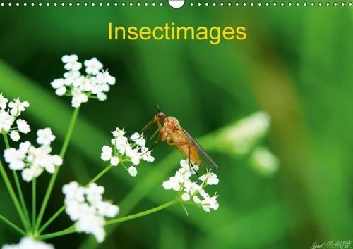 Insectimages 2016: Photographies d'insectes(Calvendo Animaux)