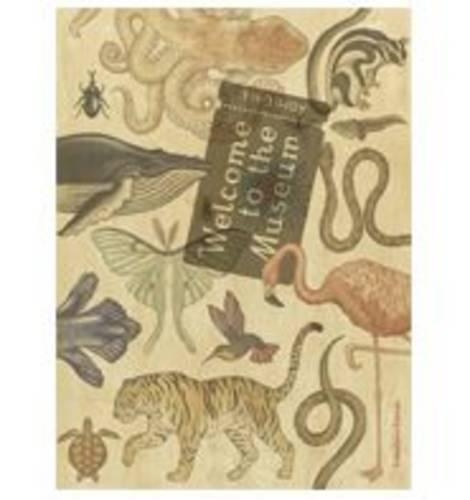 Animalium