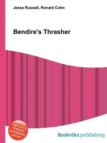 Bendire's Thrasher: (English)