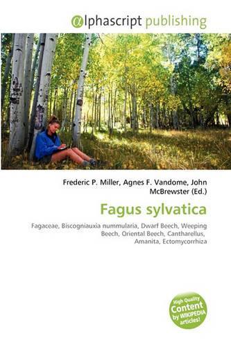 Fagus Sylvatica
