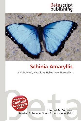 Schinia Amaryllis: (English)