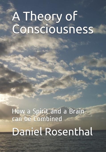 A Theory of Consciousness