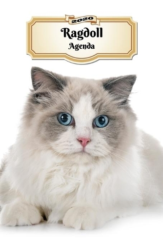 2020 Ragdoll Agenda